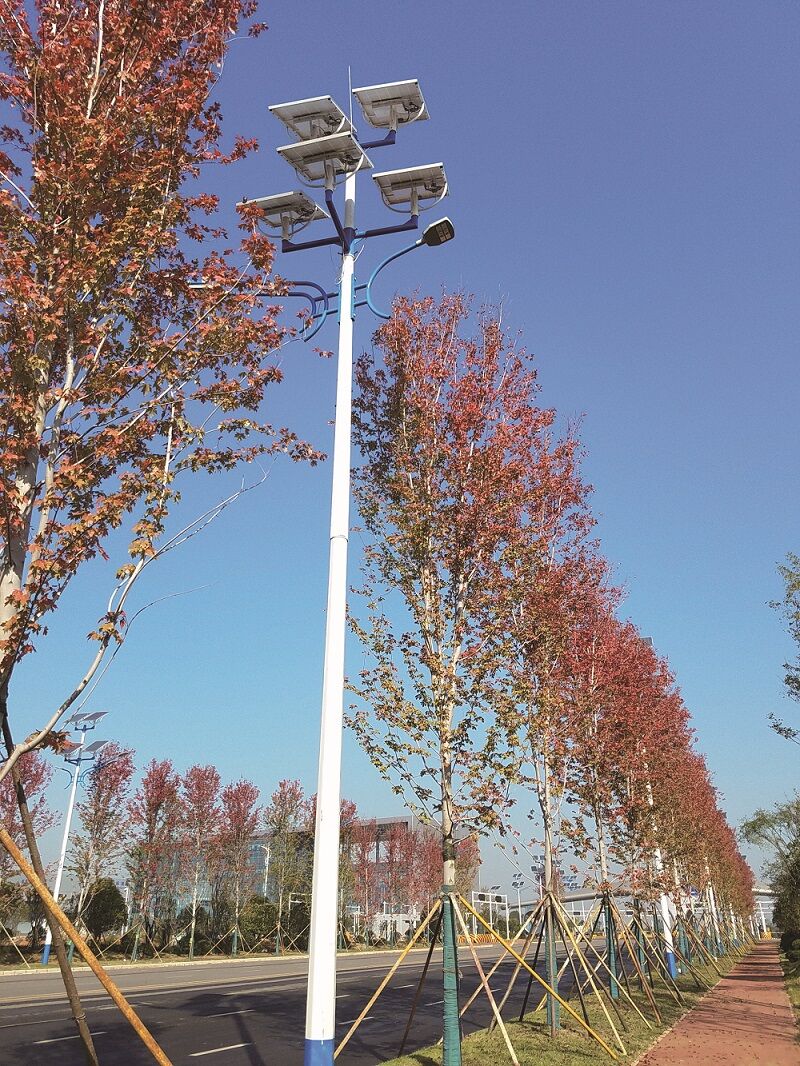 努力拼搏，用真诚感动天地！祝贺公司中标黄兴大道道路照明及亮化工程项目