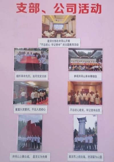 10大星泽团队优势